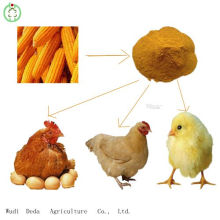 Nourriture de poulet de repas de gluten de maïs jaune de vente chaude de 60 %